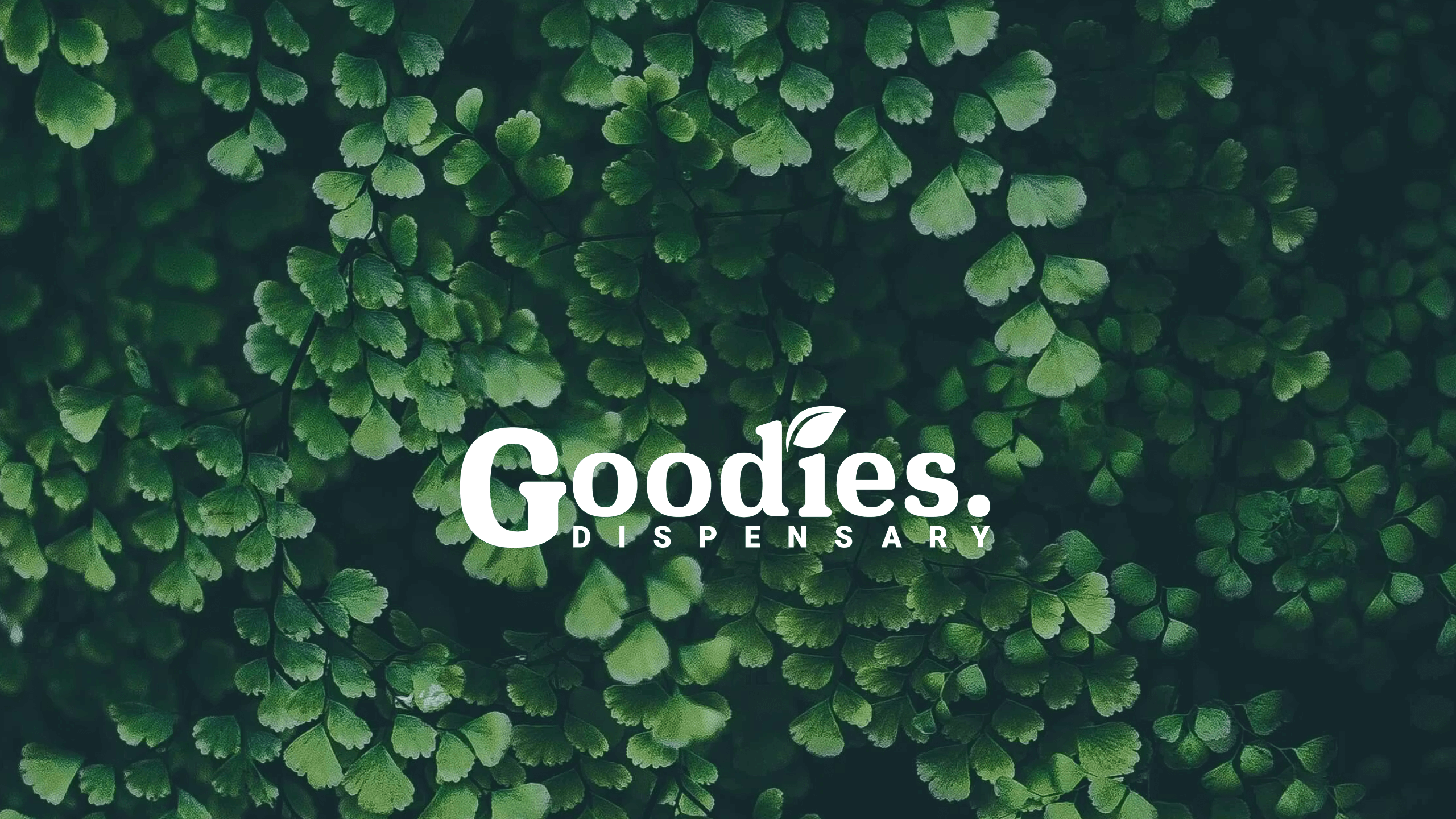 Goodies Dispensary logo in white over a lush green botanical leaf background representing a clean and curated Illinois cannabis retail brand.